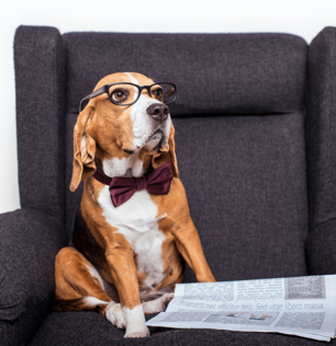 Polstermöbel Angebote von Polster Peper Polstermöbel Angebote von Polster Peper